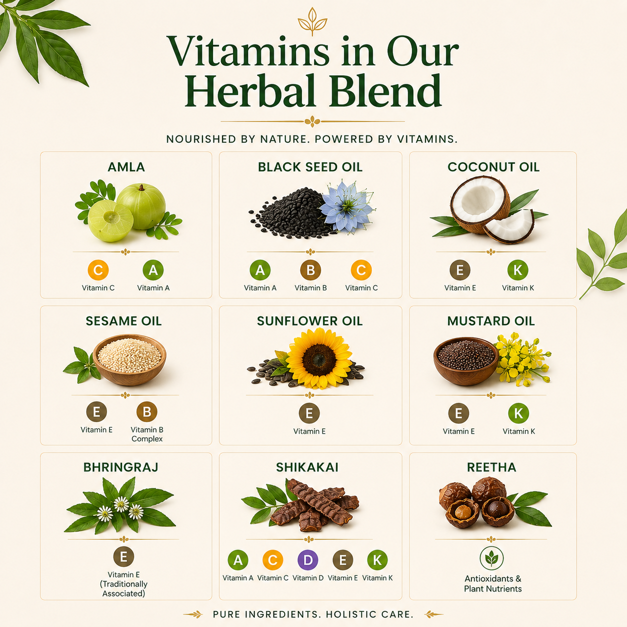 Herbé Organic Hair Oil – Natural Herbal Formula for Hair Fall & Growth